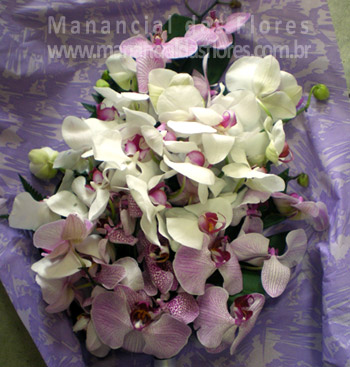 Bouquet Orquídeas Faleanópolis