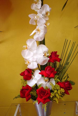 Rosas com orquideas faleanópolis